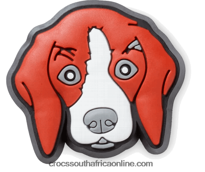 Beagle DogCrocs FBL6TX662