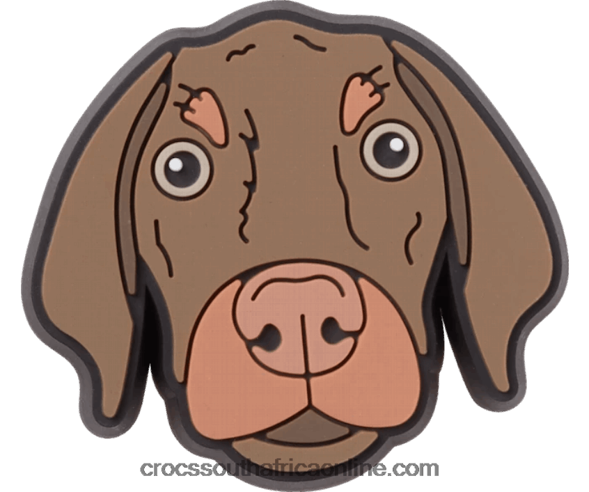 Bronny DogCrocs FBL6TX964