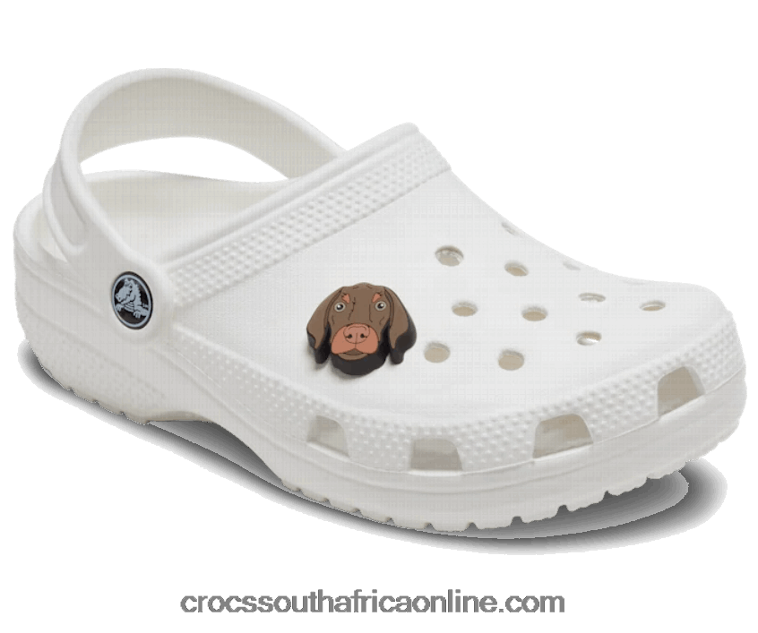 Bronny DogCrocs FBL6TX964