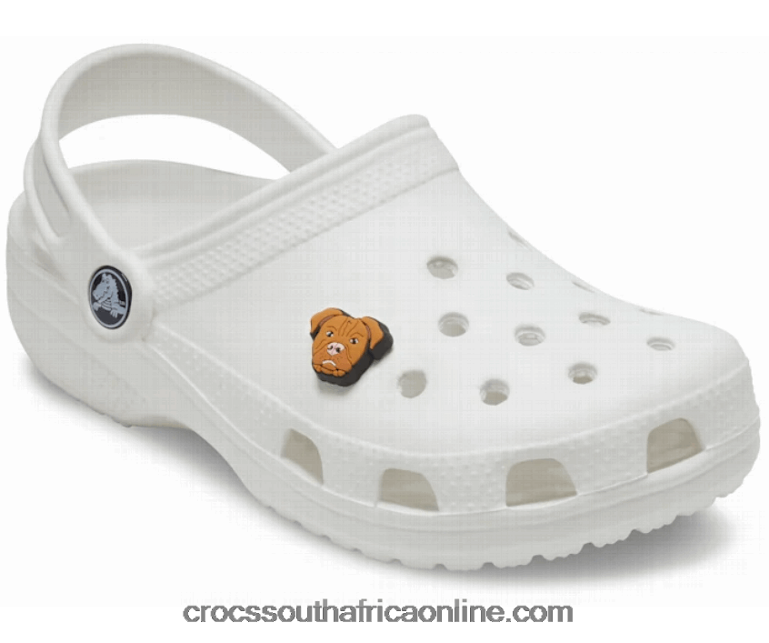 PitbullCrocs FBL6TX1173