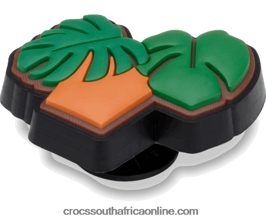 Succulent PotCrocs FBL6TX646