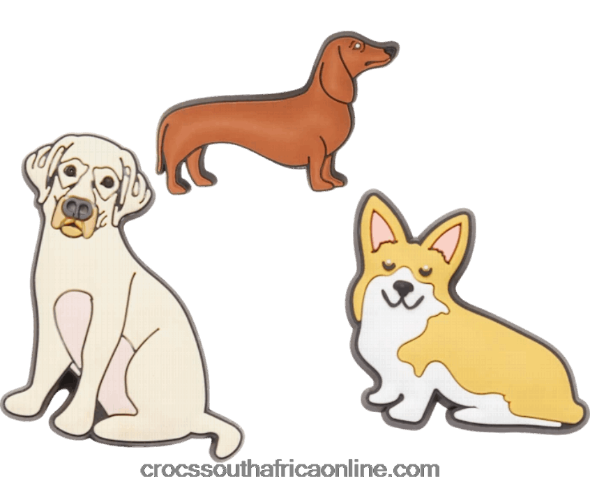 Trendy Dog 3-PackCrocs FBL6TX876