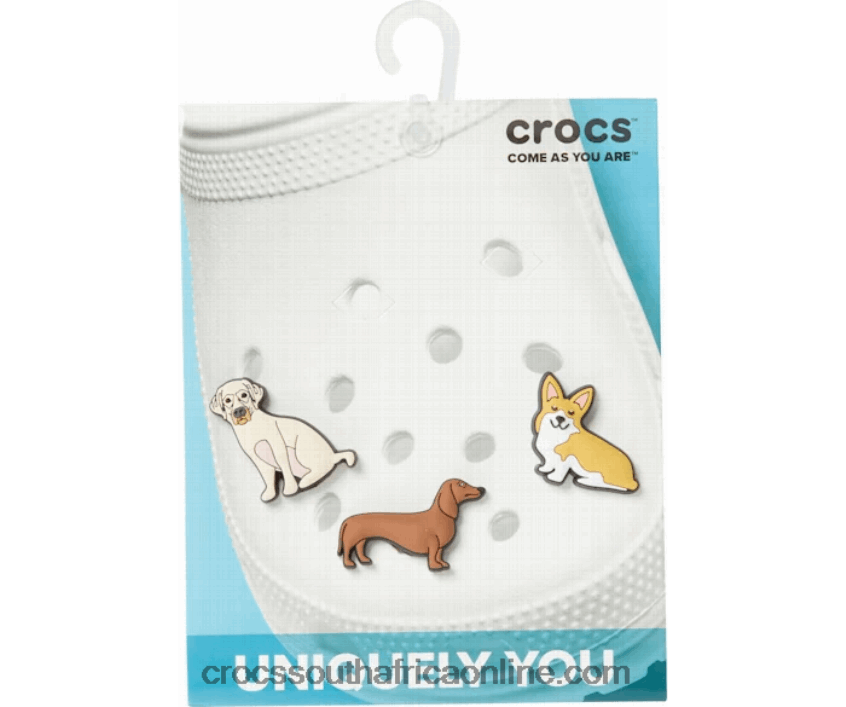 Trendy Dog 3-PackCrocs FBL6TX876
