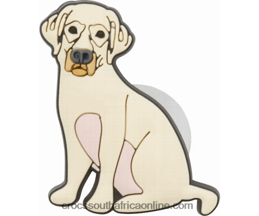 Yellow LabCrocs FBL6TX1178