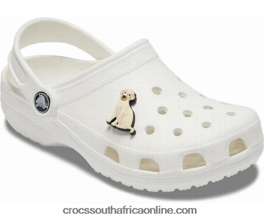 Yellow LabCrocs FBL6TX1178