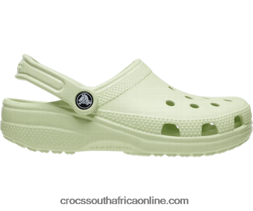 Women Classic Clog Celery Crocs FBL6TX27